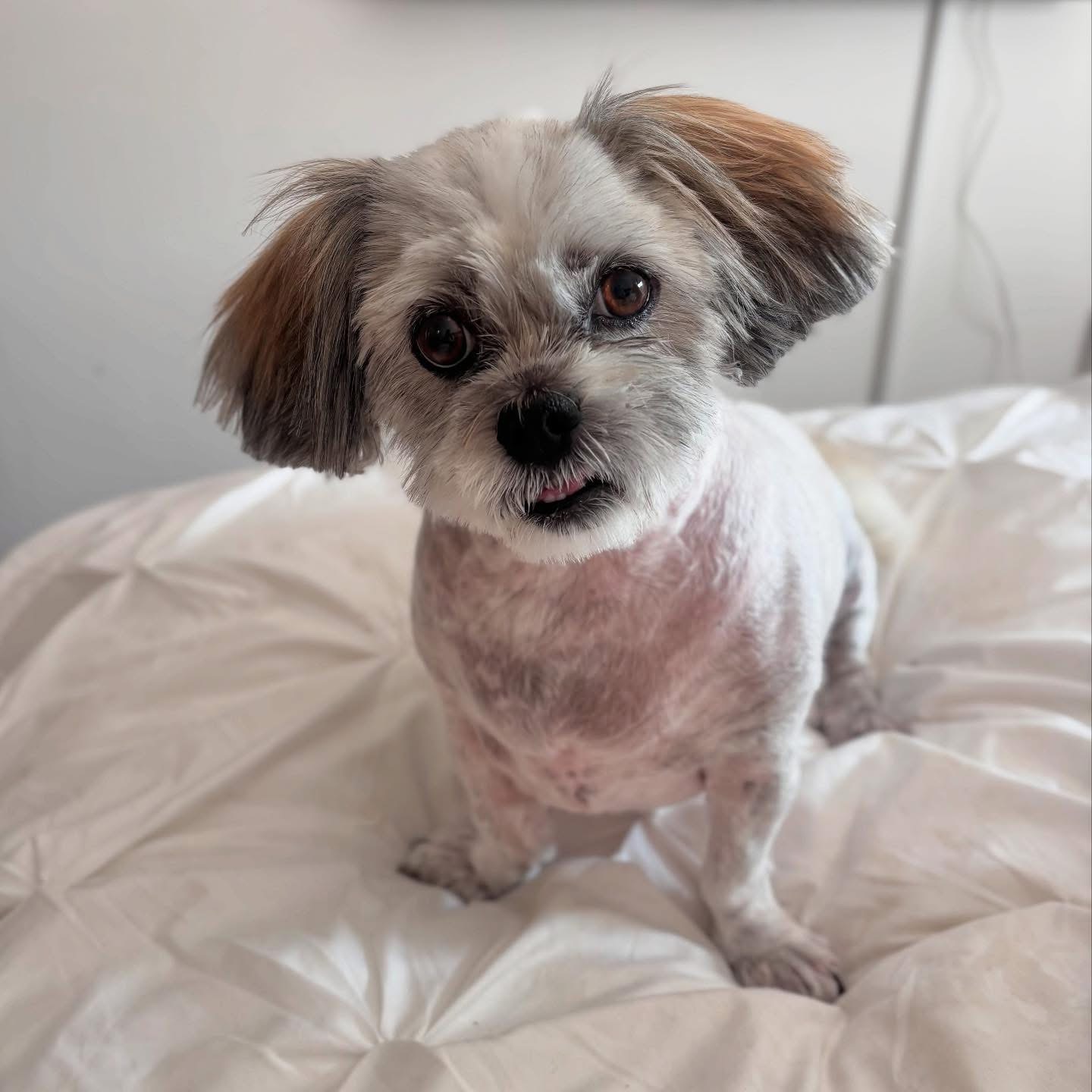 Chloe